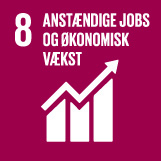 Jobs og økonomisk vækst. FNs verdensmål