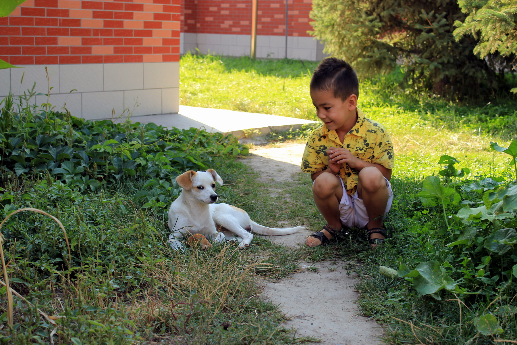 Barn med et kæledyr