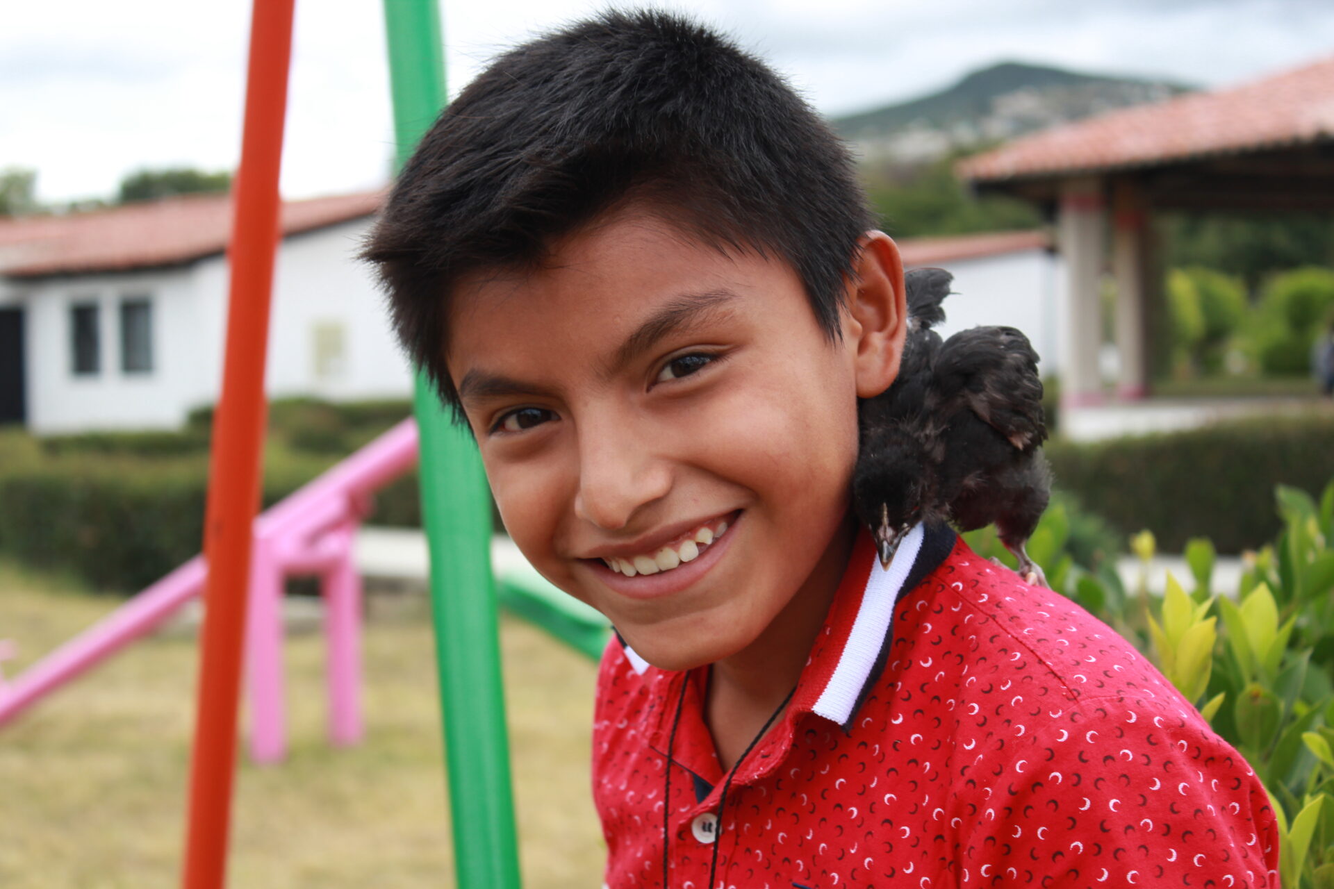 Barn med et kæledyr