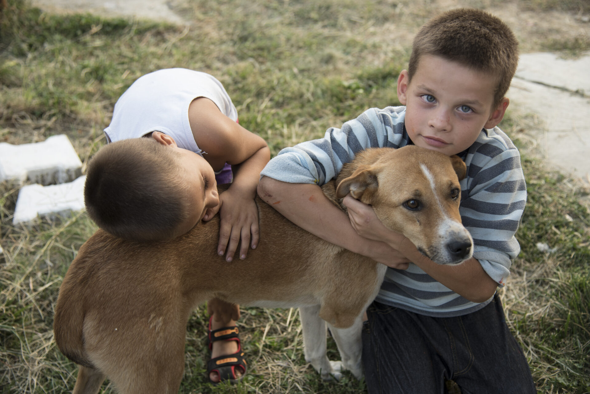 Børn med et kæledyr