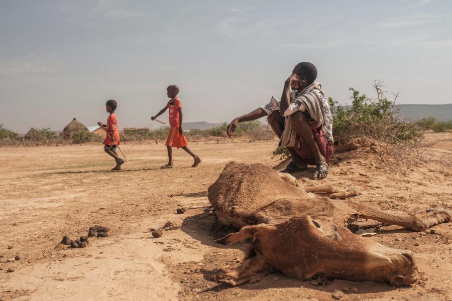 Sult i Afrika - hjælp børnene