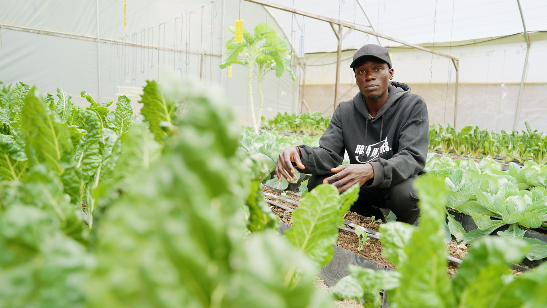 Drivhuset, hvor Felix har fået undervisning i hydroponisk landbrug