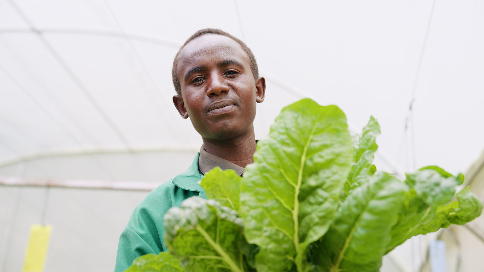 Eksperimenter med forskellige afgrøder kan være en af måderne at tilpasse sig et forandret klima
