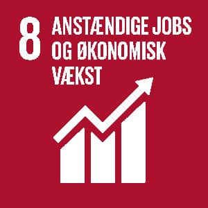 Verdensmål 8: Anstændige jobs og økonomisk vækst