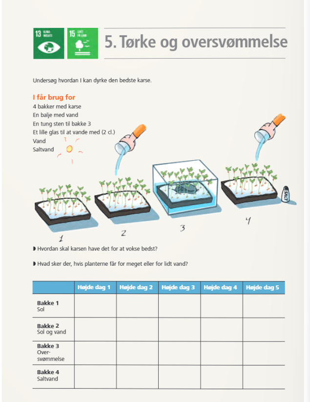 OJ_Klimaeksperiment med karse